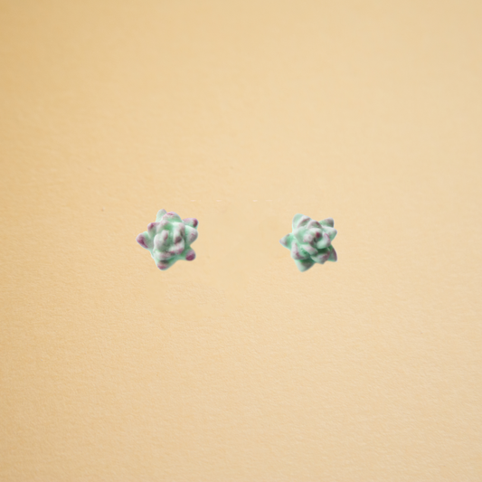 Succulent Studs